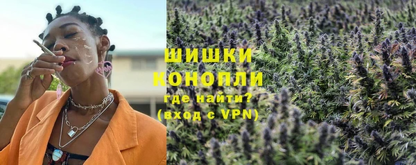 ПСИЛОЦИБИНОВЫЕ ГРИБЫ Чегем