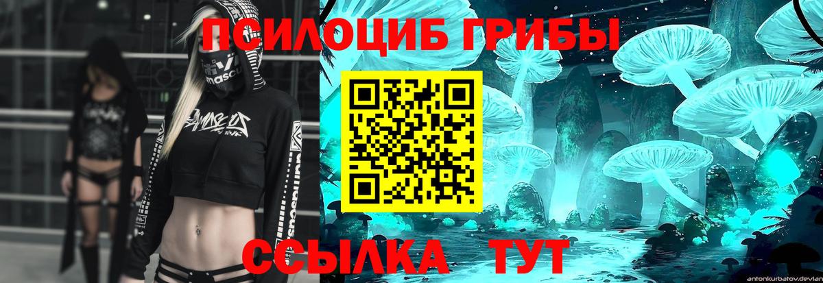Псилоцибиновые грибы прущие грибы Батайск