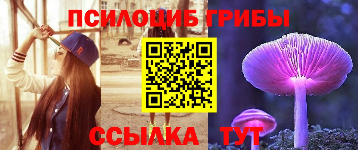 Псилоцибиновые грибы Psilocybine cubensis Батайск