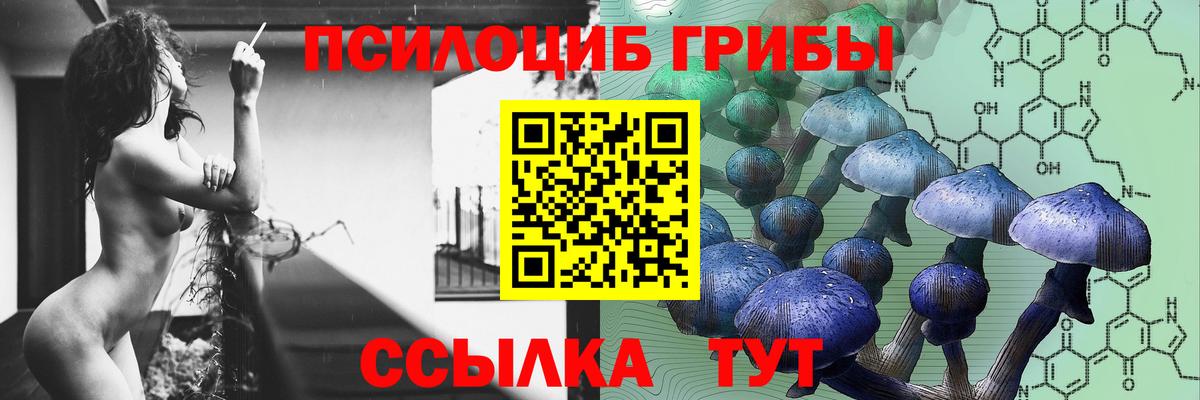 Галлюциногенные грибы Psilocybe  Батайск 