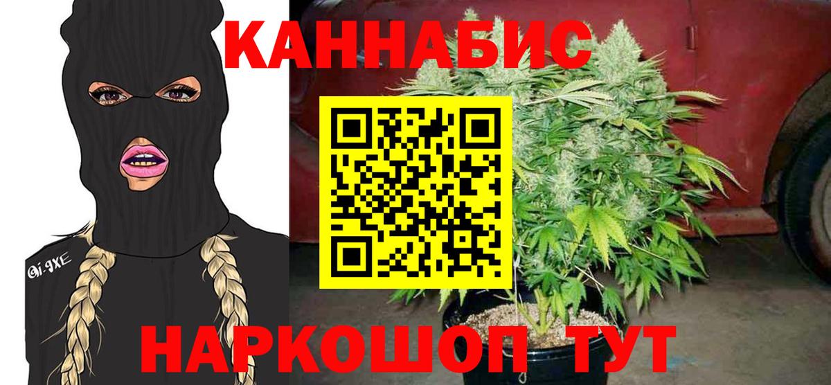 Бошки Шишки план Батайск